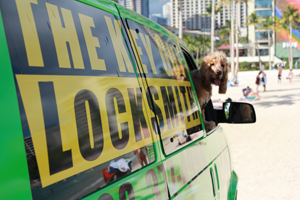 Look for our big green vans!